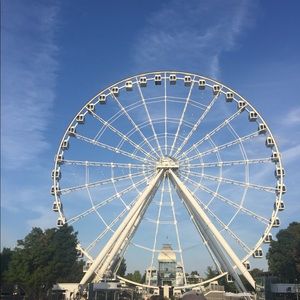 Meet your Posher, Lilly